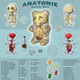 Illustration for article titled The Anatomy of a Lego Minifig Is as Fascinating as It Is Spooky